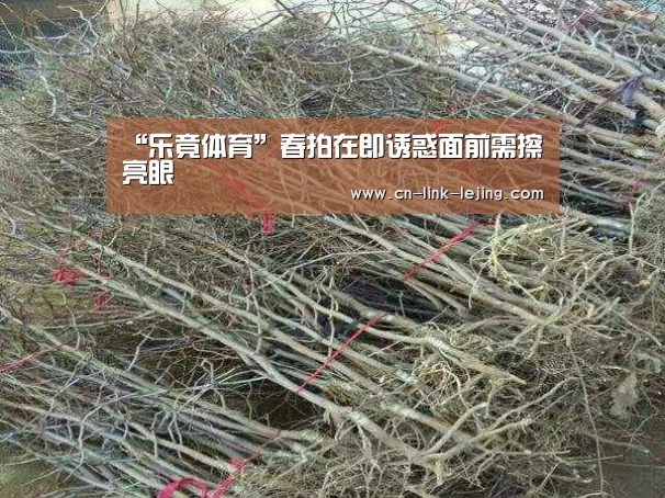 乐竟app