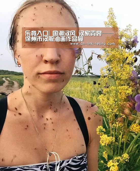乐竟入口