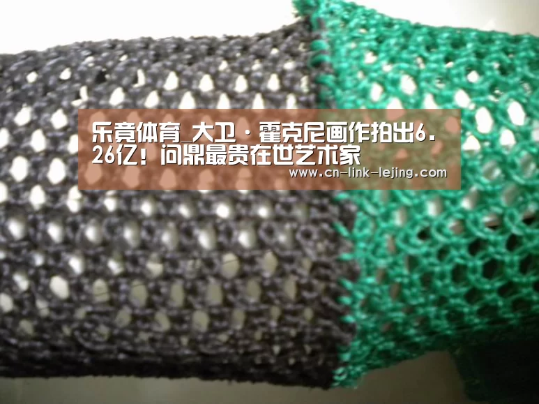 乐竟体育