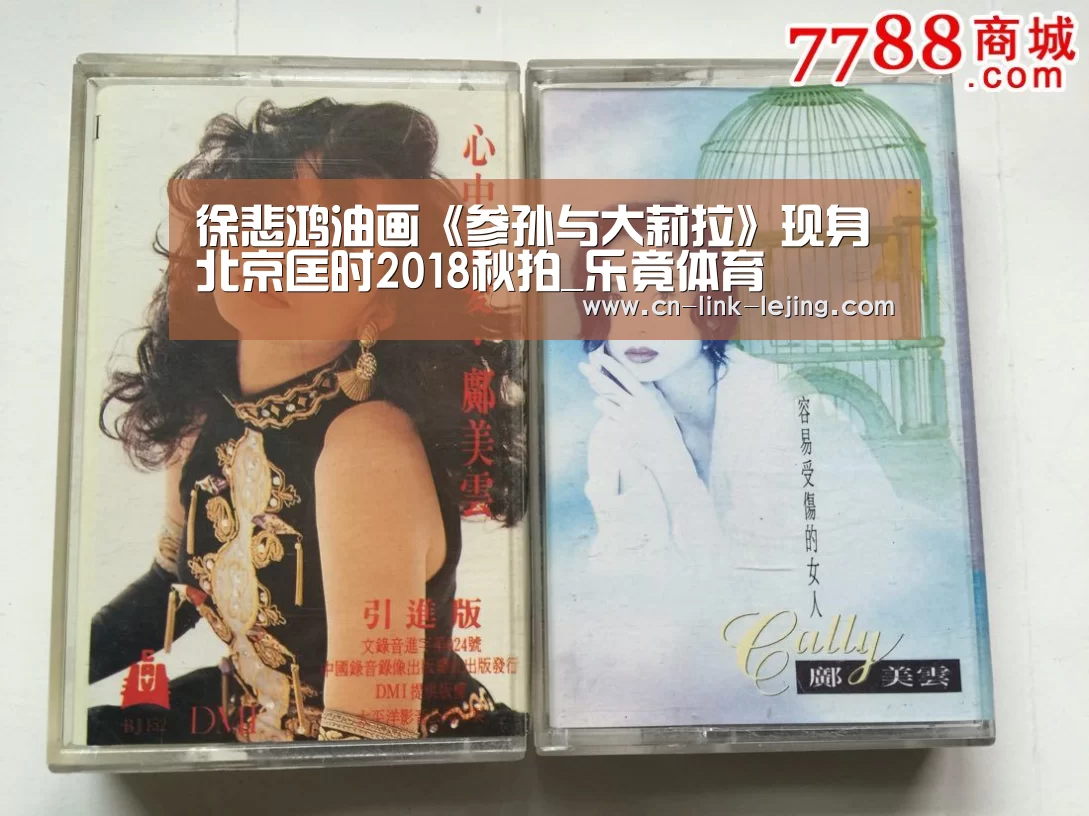 乐竟入口